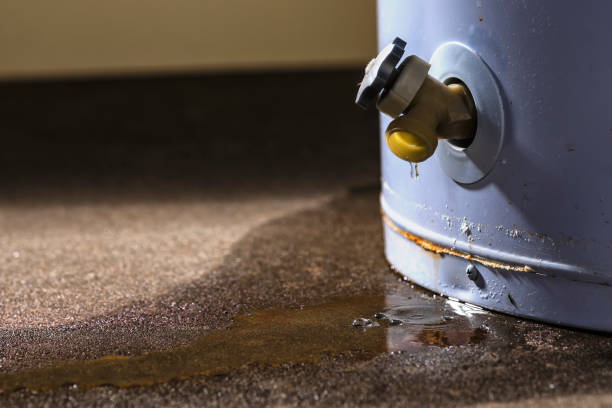 Best 24-hour water damage restoration  in Kinsey, AL