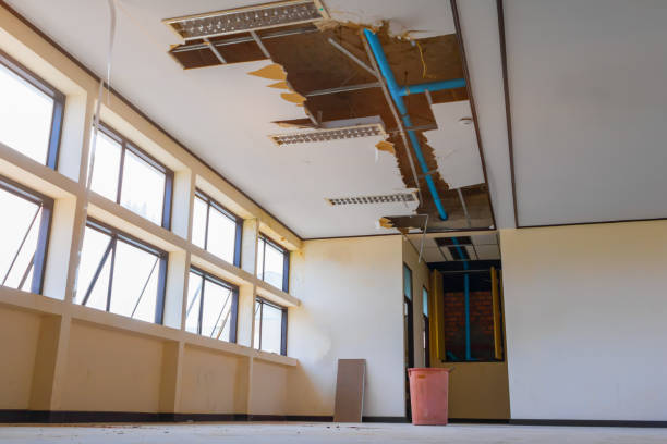 Best Water damage contractors near me  in Kinsey, AL