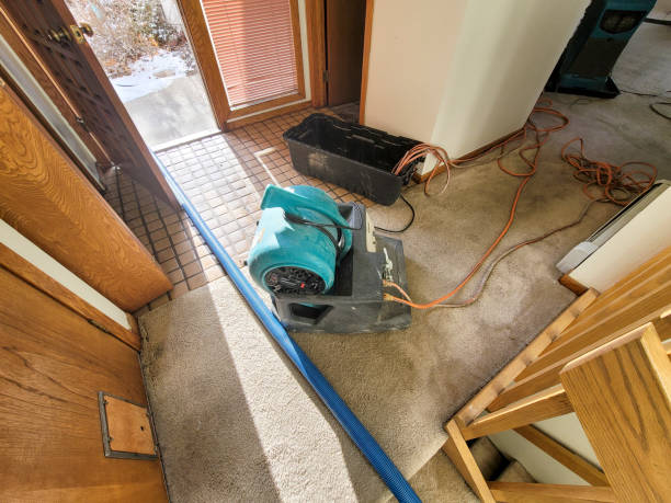 Best 24/7 water damage repair  in Kinsey, AL