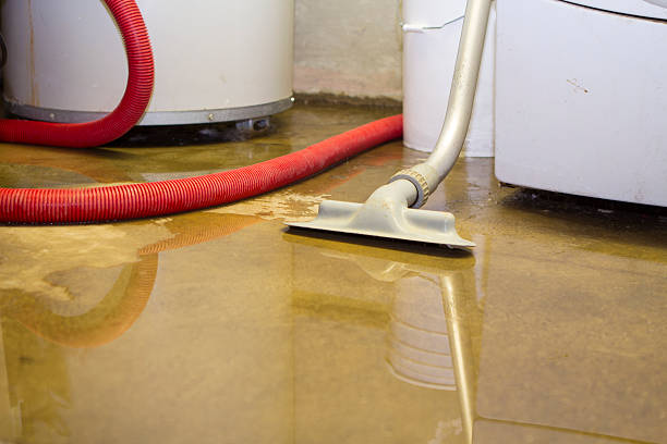 Best Flood restoration services  in Kinsey, AL
