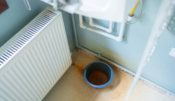 Best Local water damage restoration  in Kinsey, AL