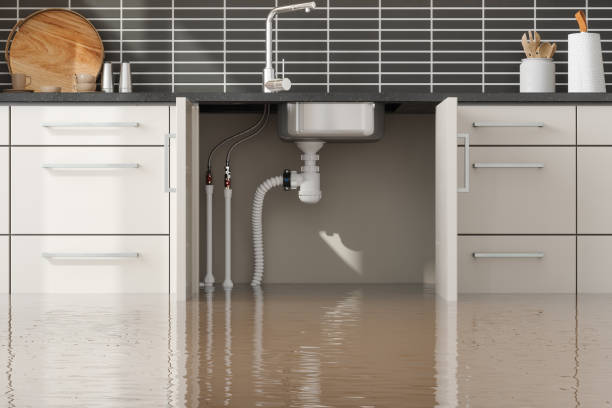 Best Carpet water damage restoration  in Kinsey, AL