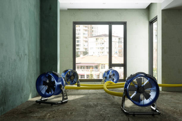 Best Local water damage restoration  in Kinsey, AL